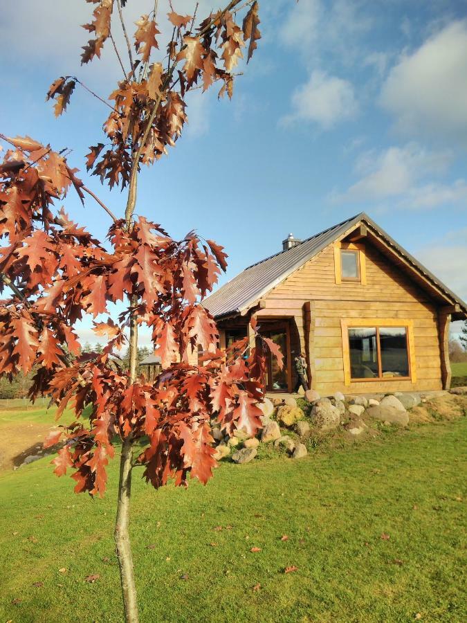 Vip Forest Dreams Villa Anykščiai Exterior foto