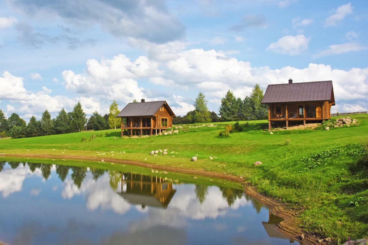 Vip Forest Dreams Villa Anykščiai Exterior foto